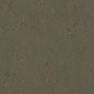Tradition Mineral