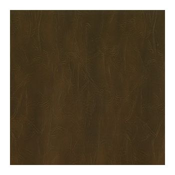 Corium Umbria Seppia