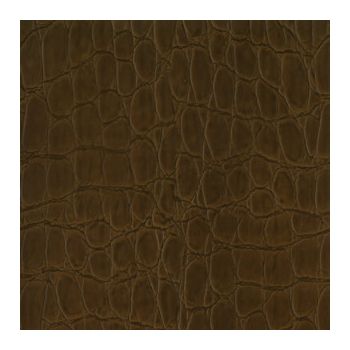 Corium Veneto Seppia