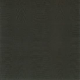 Corium Lombardia Castano