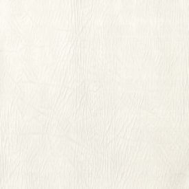 Corium Umbria Bianco