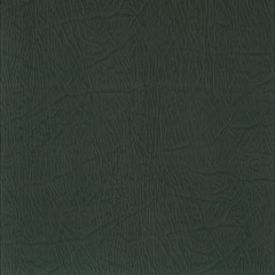 Corium Umbria Grigio Scuro