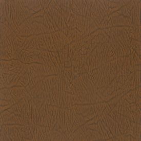 Corium Umbria Pelle